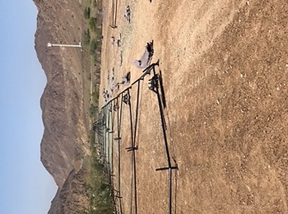 Teepees pitched in a line against desert mountains